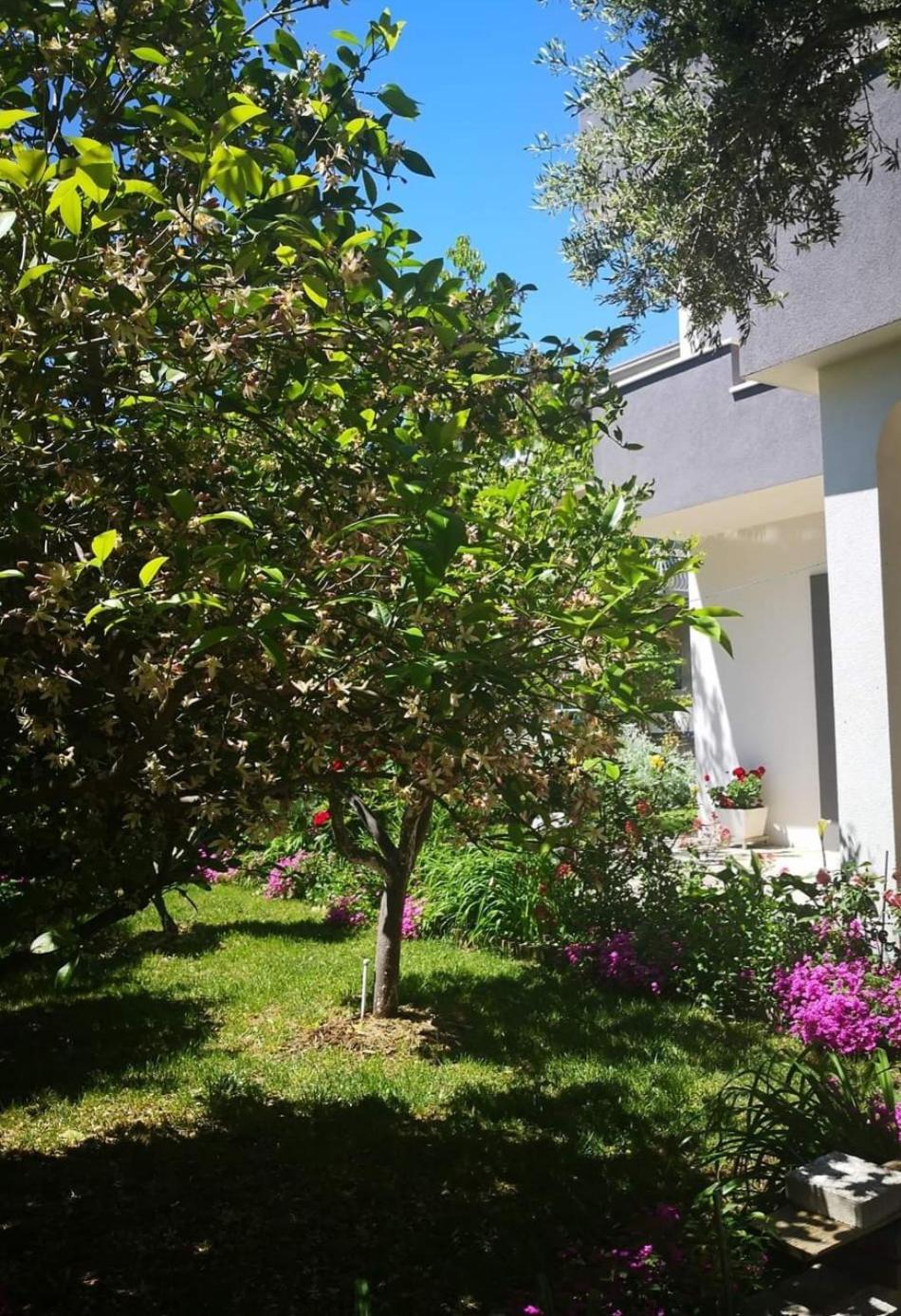 Apartmani Dianna Kaštela Zewnętrze zdjęcie